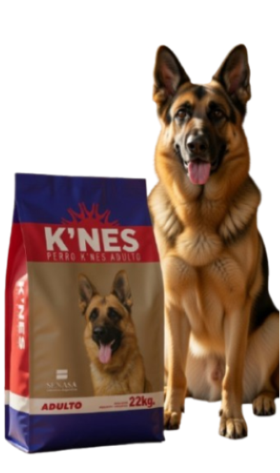 K´nes 22kg